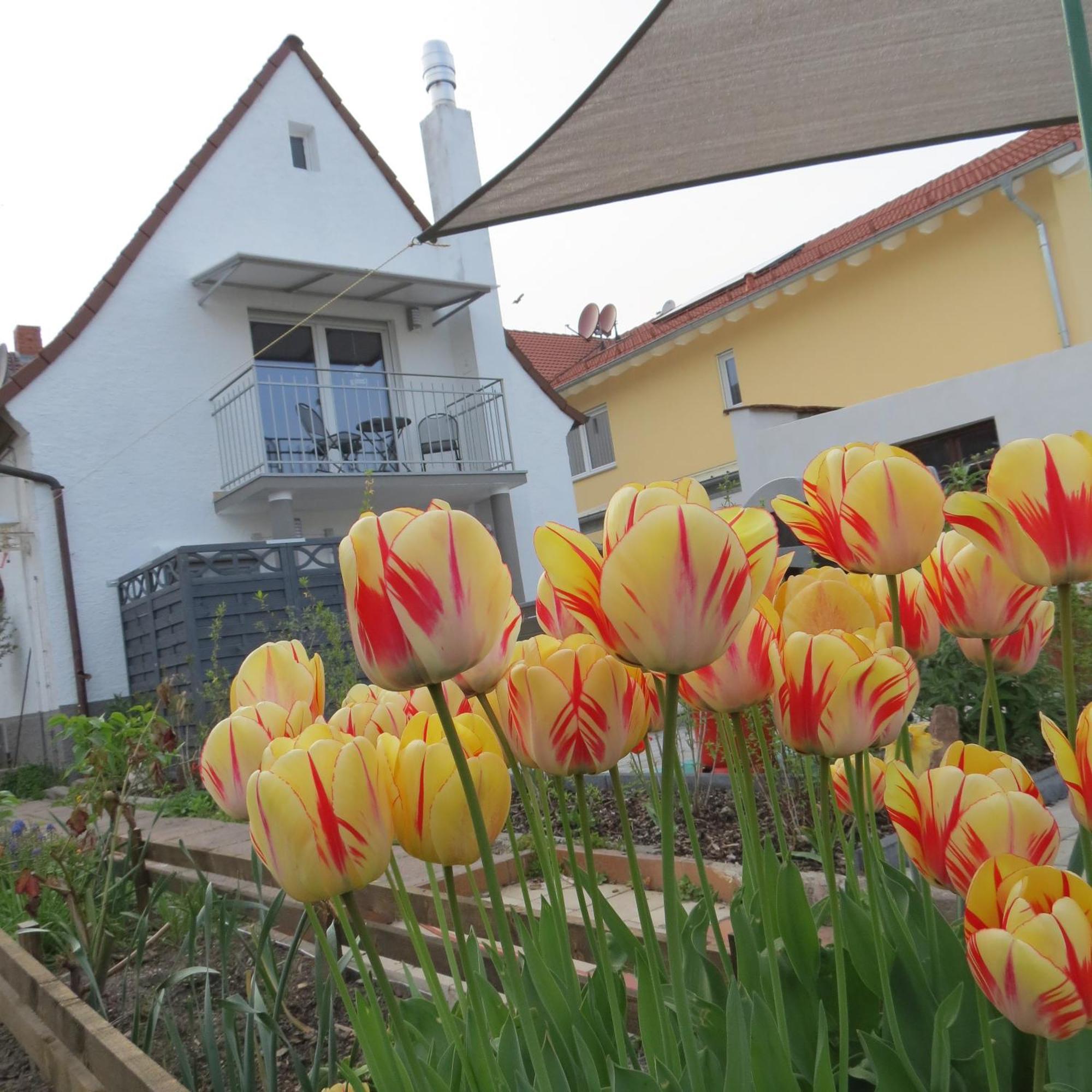 Spira House Lägenhet Exteriör bild